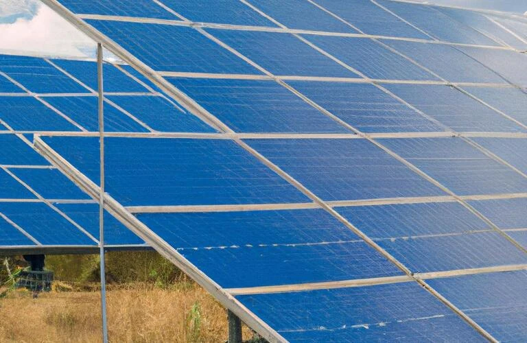 夏の太陽光でエネルギーの未来を切り拓く