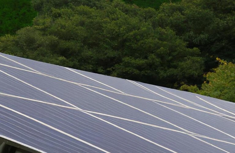 これからの時代に最適！熊本での太陽光発電設置に挑戦しませんか？